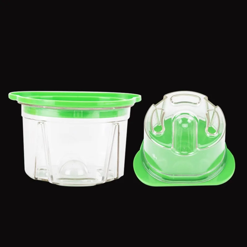 Agar Tissue Culture - 3 stuks tandheelkundige plastic agarboxen, prothese