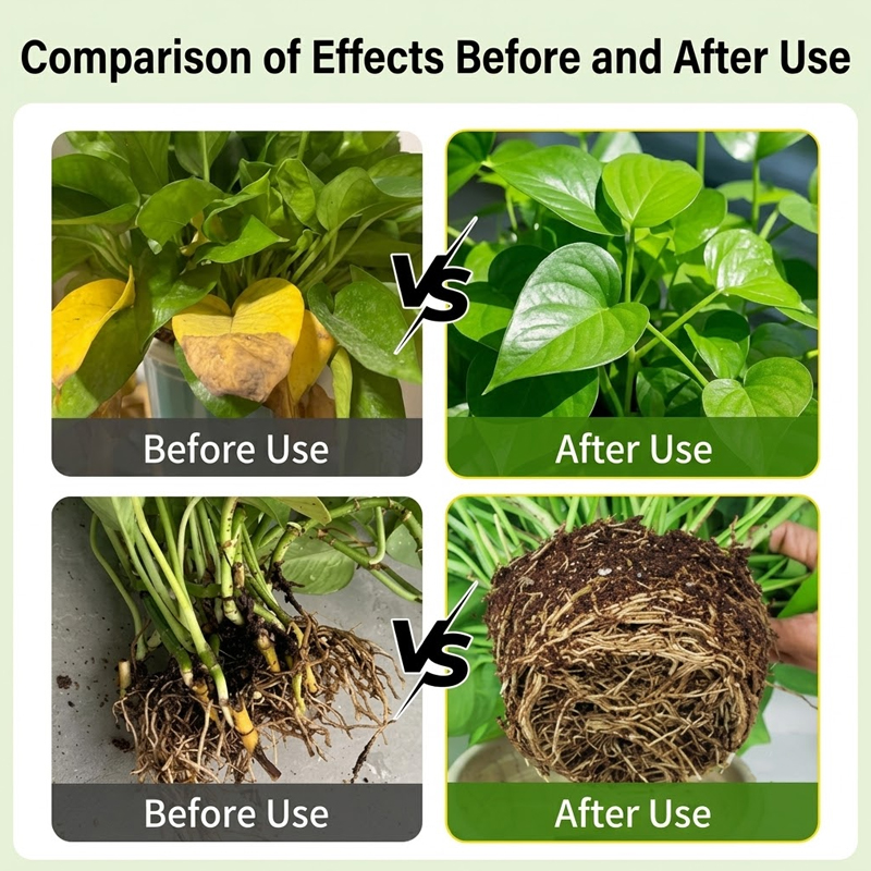 Plantenworteloplossing Wortelv - Rooting Hormone Powder recensie en prijs