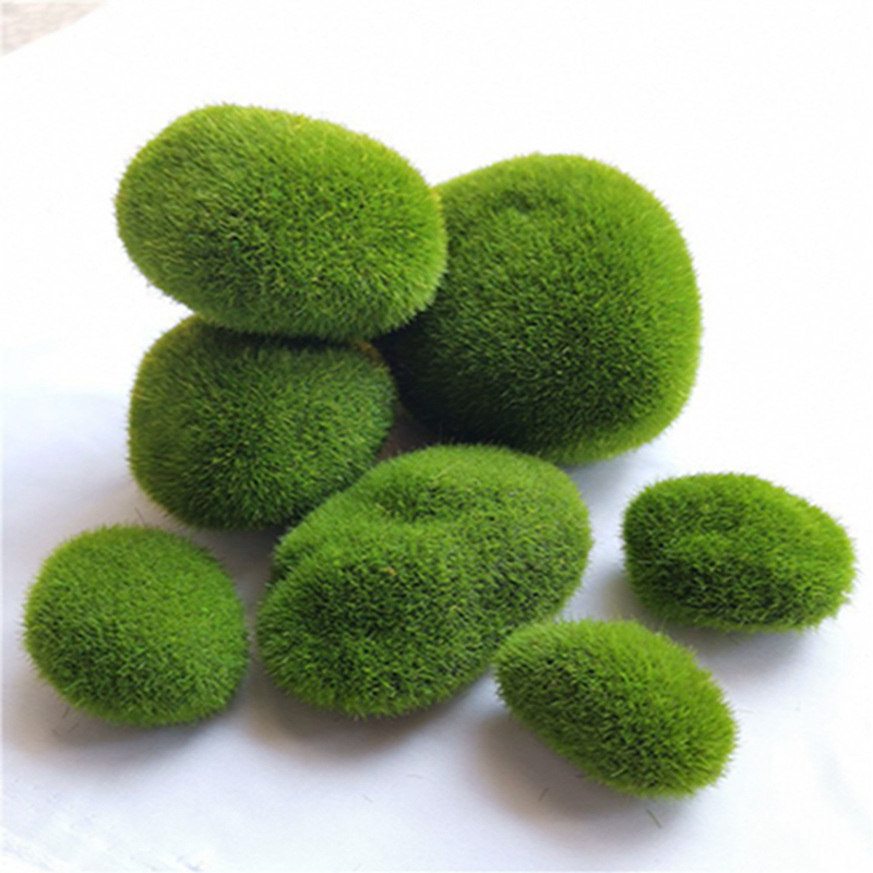 5 Stuks 3-12 Cm Groene Kunstma - Sphagnum Moss Dry recensie en prijs